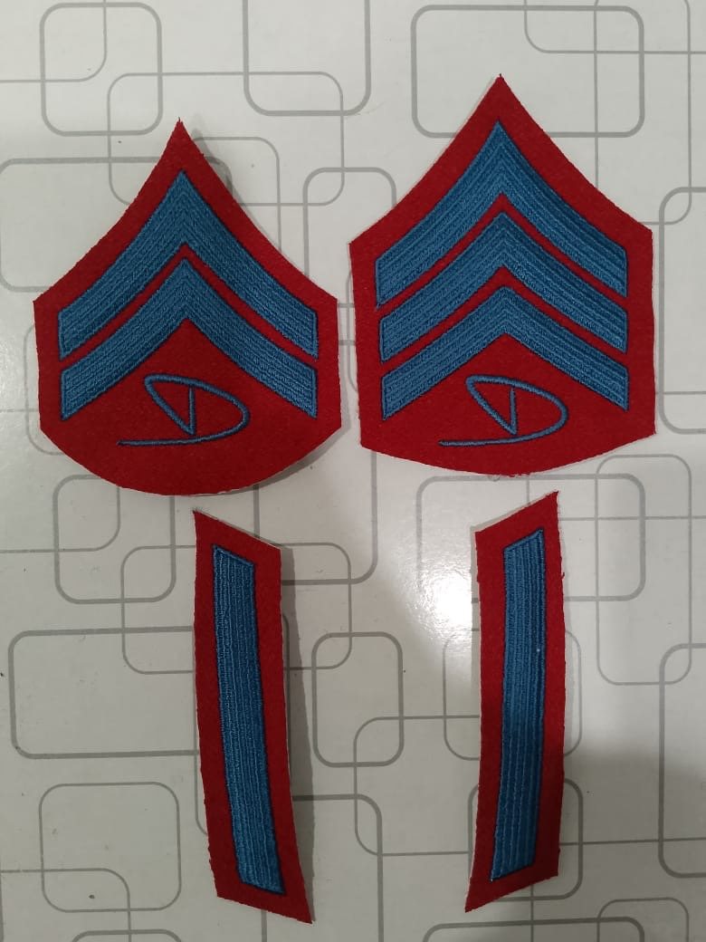 Red and blue Dinero insignia patch